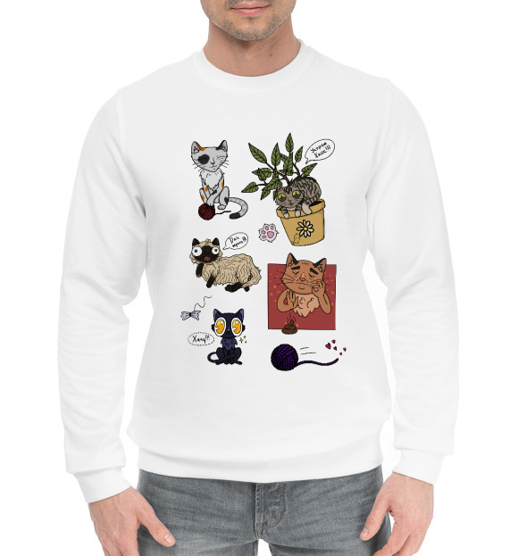 Мужской хлопковый свитшот с притом Кото-стикеры цвета Белый Мужской хлопковый свитшот с изображением Кото-стикеры цвета Белый