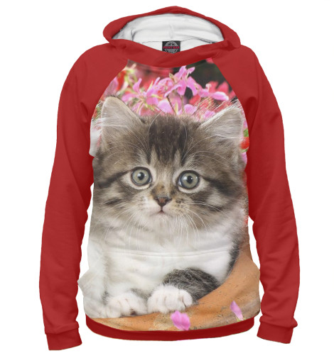 

Худи Print Bar, Белый, Котенок