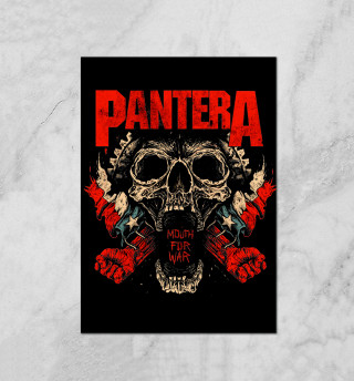 Pantera Mouth For War