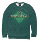 Свитшот для девочек Pentasteal