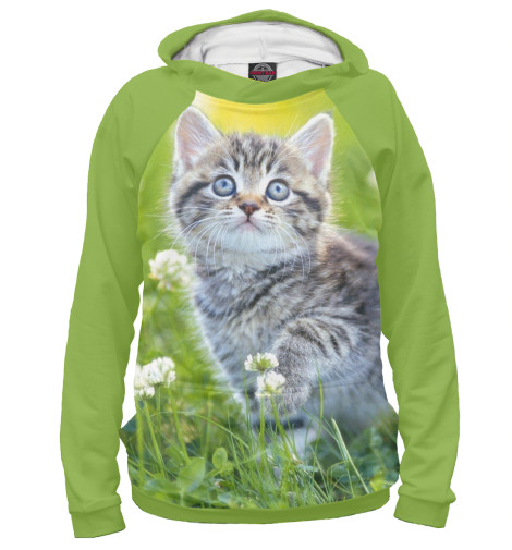 

Худи Print Bar, Белый, Котенок