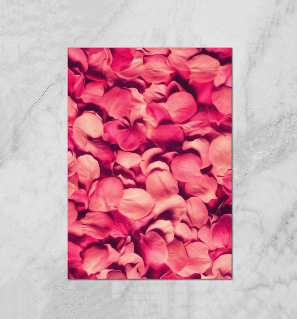 Плакат с изображением Лепестки роз цвета Белый