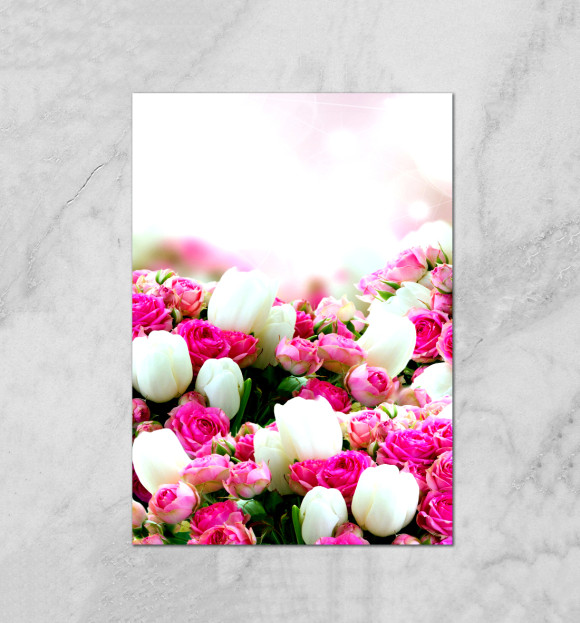 Плакат с изображением Аллея роз цвета Белый