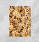 Плакат Leopard Abstraction