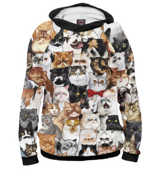 Коты и Мопс