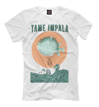 Мужская футболка Tame Impala