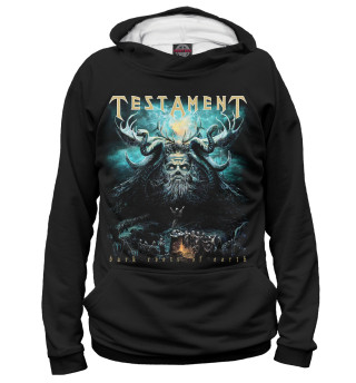 Мужское худи Testament