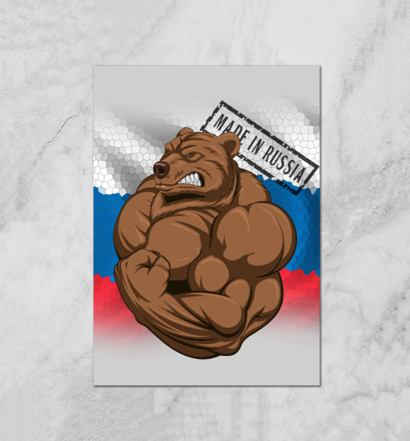 Плакат с изображением Медведь цвета Белый