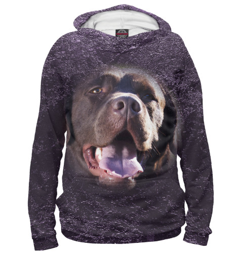 

Худи Print Bar, Белый, Шоколадный лабрадор