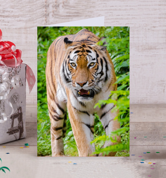 Открытка с изображением Tiger цвета Белый