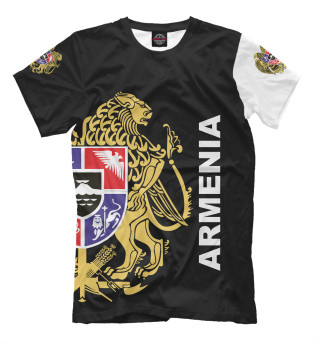 Футболка для мальчиков Armenia