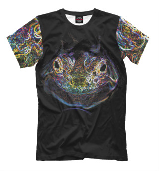 Футболка для мальчиков Frog