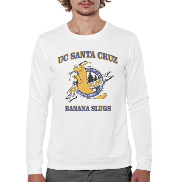 Мужской свитшот с изображением UC Santa Cruz Banana Slugs цвета Белый