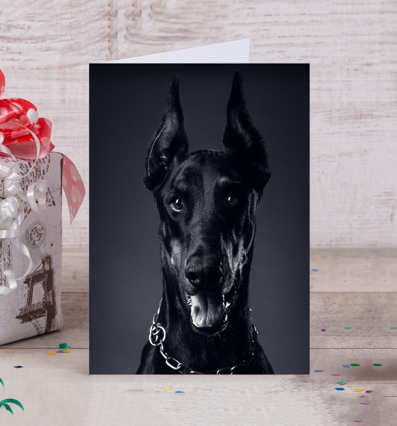 Открытка с изображением Доберман цвета Белый