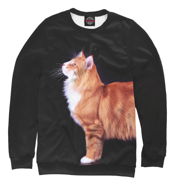 Мужской свитшот с изображением Кот подмышкой цвета Белый