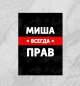 Плакат Миша всегда прав