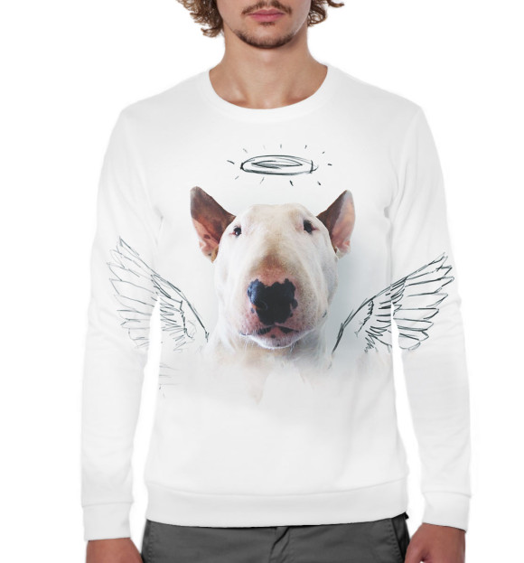 Мужской свитшот с изображением Бультерьер цвета Белый