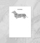 Плакат Dachshund Такса