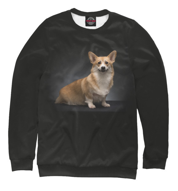 Свитшот для девочек с изображением Corgi dog цвета Белый