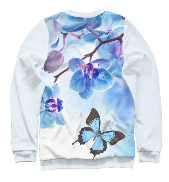 Свитшот для мальчиков с изображением Цветы и бабочка цвета Белый