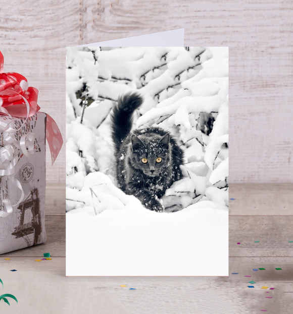 Открытка с изображением Кот в Снегу цвета Белый