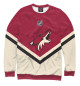 Мужской свитшот Arizona Coyotes