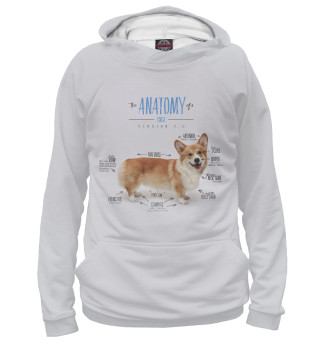 Мужское худи Welsh Corgi