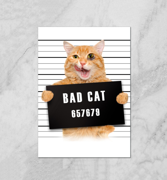 Плакат с притом Плохой кот цвета Белый Плакат с изображением Плохой кот цвета Белый