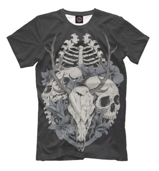 Skull