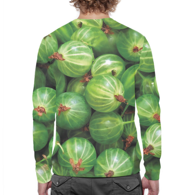 Мужской свитшот с изображением Крыжовник цвета Белый