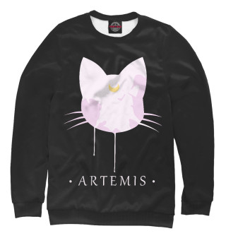 Мужской свитшот Artemis