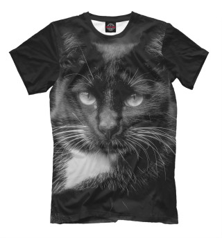 Мужская футболка Black cat