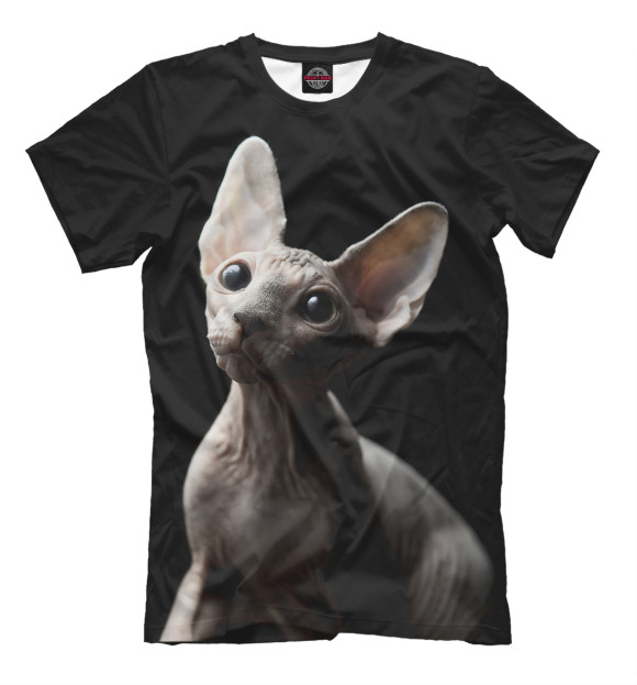 Мужская футболка с изображением Сфинкс цвета Черный