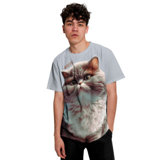 Мужская футболка Meow