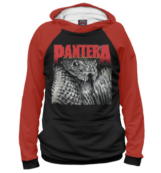 Pantera