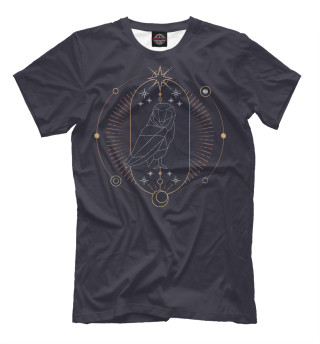 Geometric astrological owl