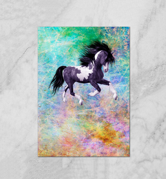 Плакат с изображением Черногривый скакун цвета Белый