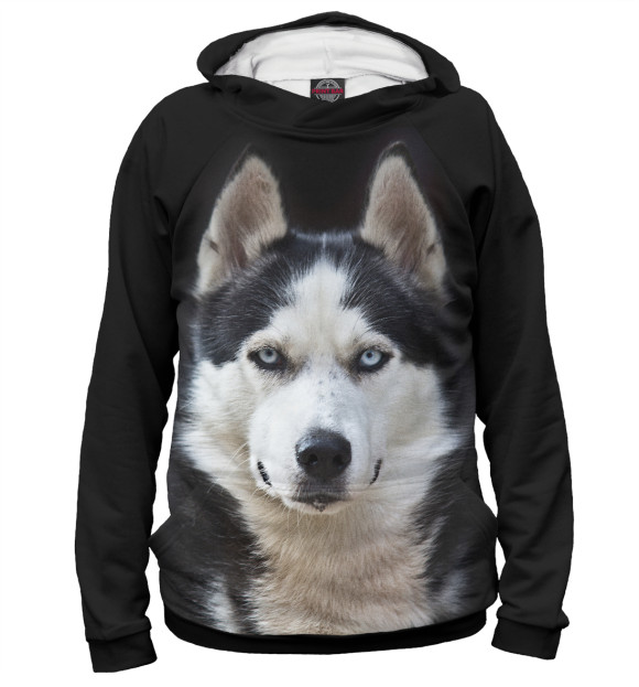 Мужское худи с изображением Хаски цвета Белый