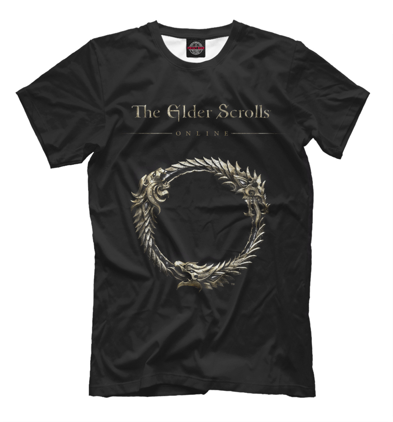Мужская Футболка The Elder Scrolls, артикул: TES-438329-fut-2