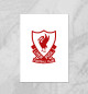  FC Liverpool