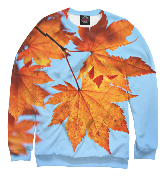 Мужской свитшот с изображением Осенние кленовые листья цвета Белый