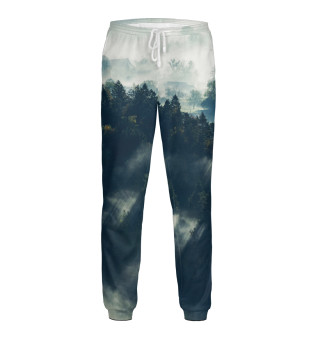 Мужские спортивные штаны Туманный лес. Лучи солнца