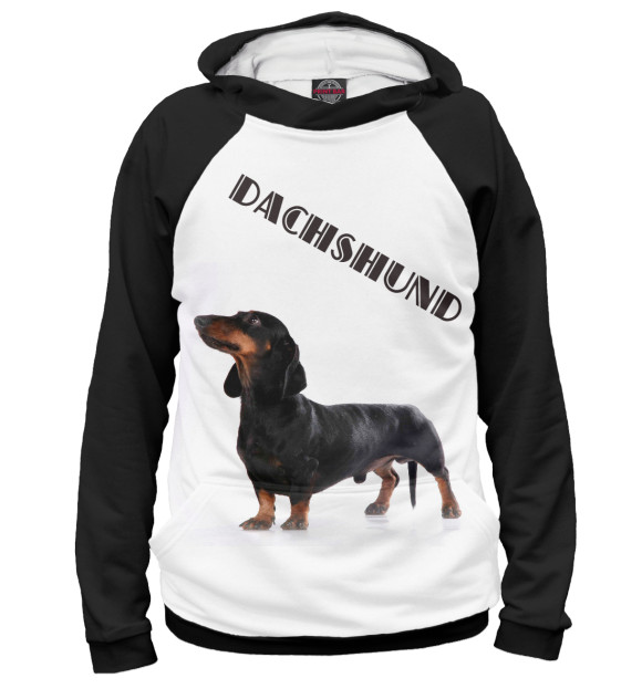 Мужское худи с изображением Dachshund цвета Белый