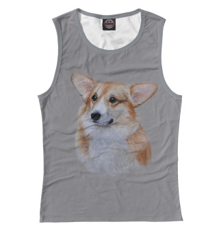 Corgi dog
