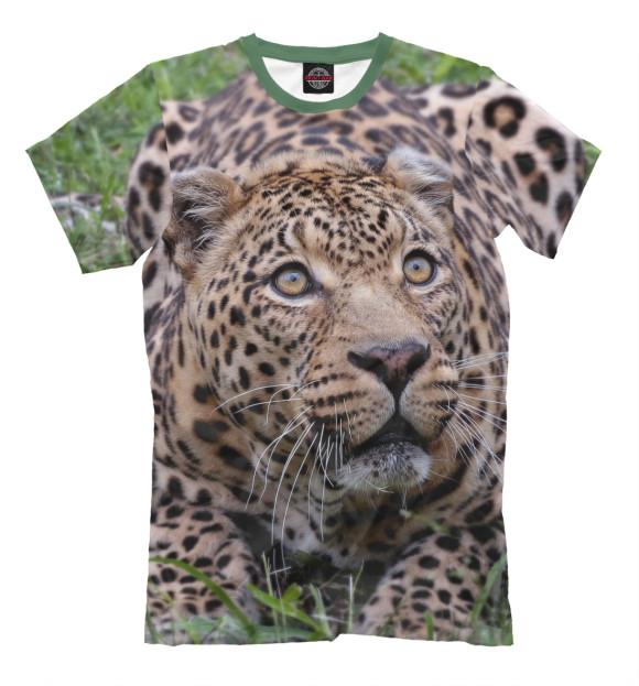 Мужская футболка с изображением леопард цвета Серый
