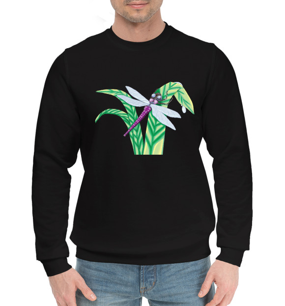 Мужской хлопковый свитшот с изображением Стрекоза на травинке цвета Черный