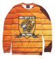 Мужской свитшот Tigers Hull City