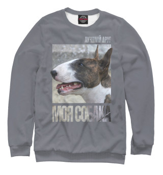 Бультерьер