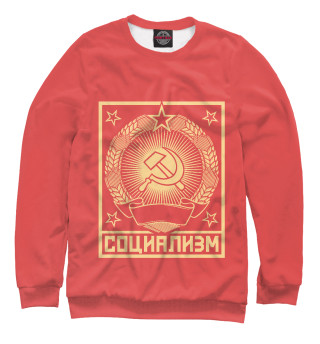 Социализм