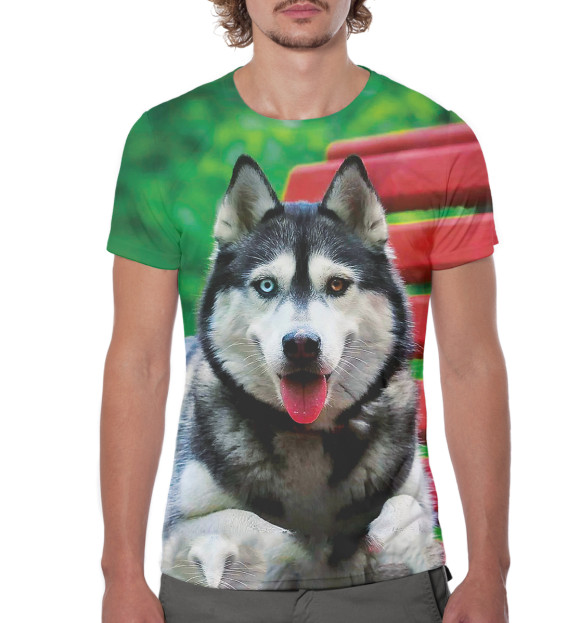 Мужская футболка с изображением Хаски цвета Белый